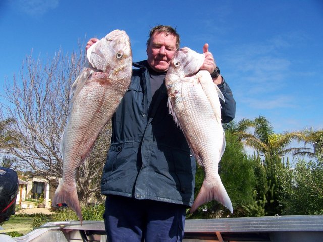 Mandurah Snapper eviction